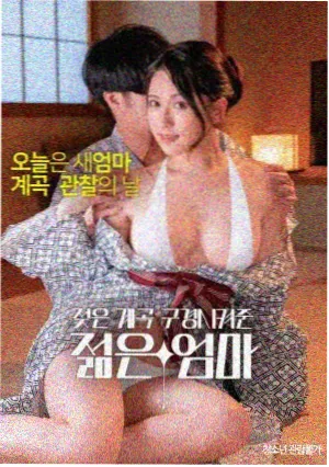 欧美av高清观看